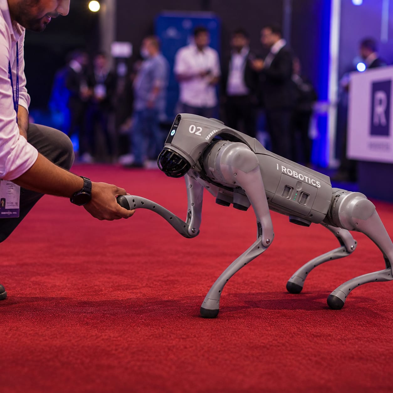 RoboDog